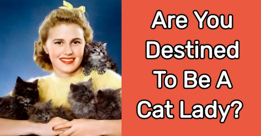 Are You Destined To Be A Cat Lady GetFunWith