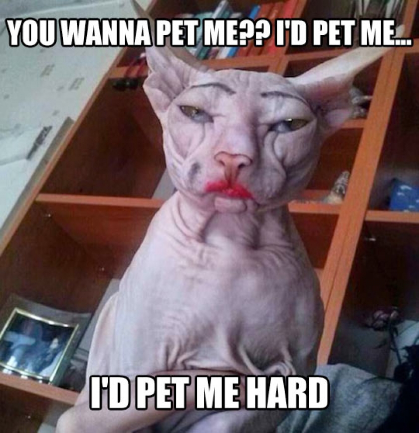 I’d Pet Me