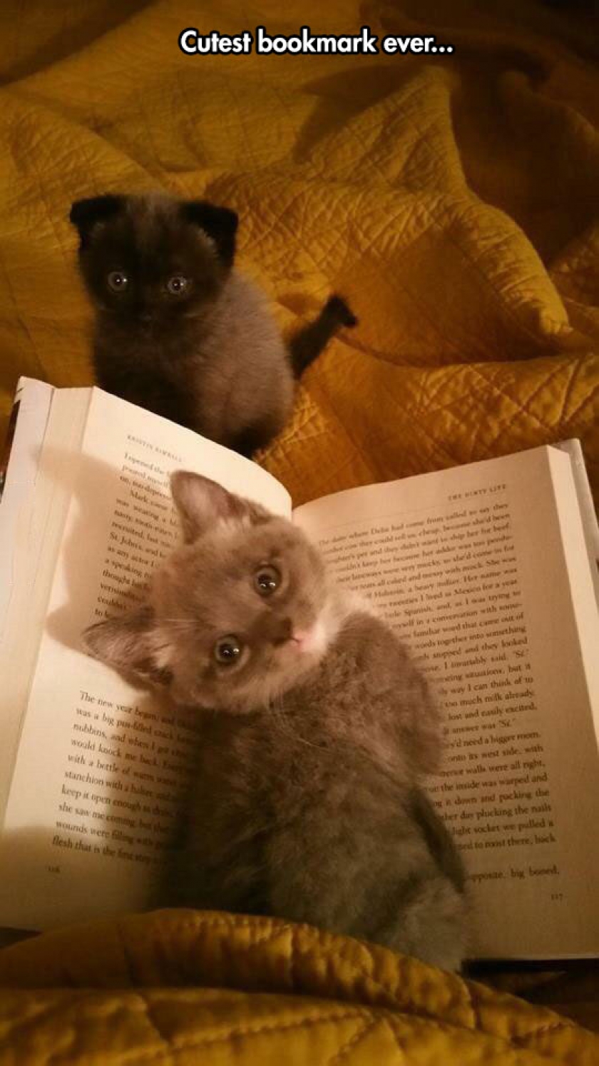 They Are So Cute, It Hurts