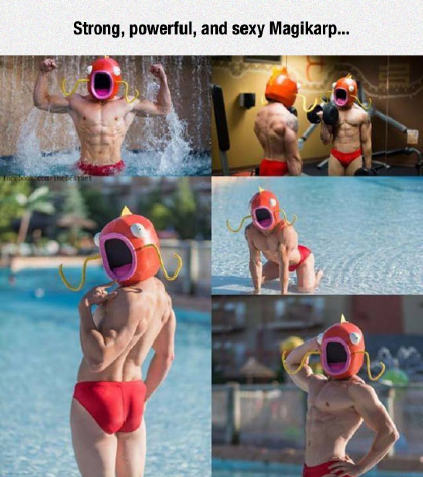 Magikarp Used Splash