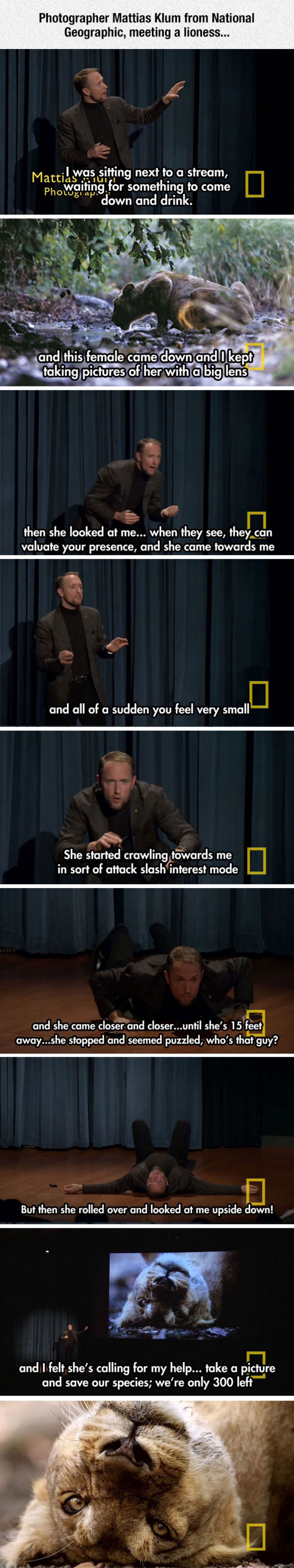 A Scary Yet Amazing Story