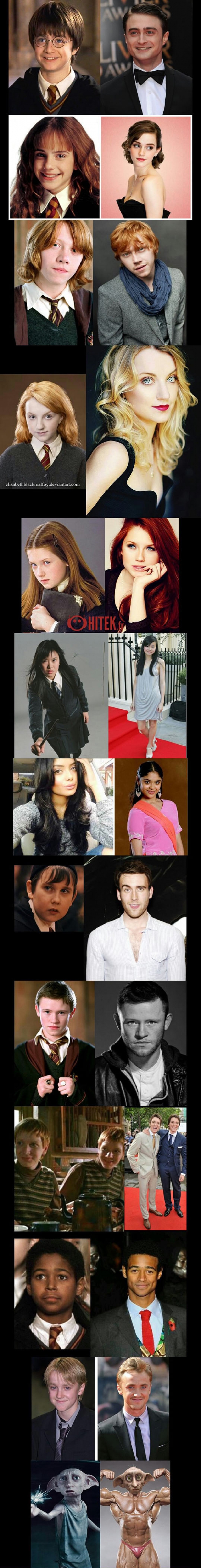 Harry Potter Characters Are Stunning Now (Saved The Best For Last)