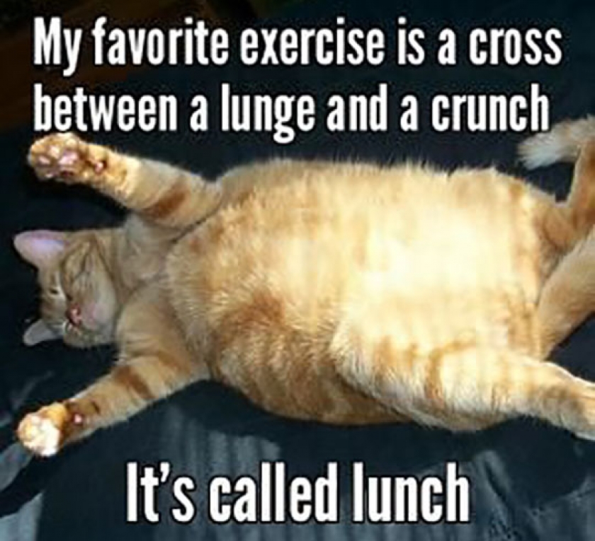Current Favorite Exercise