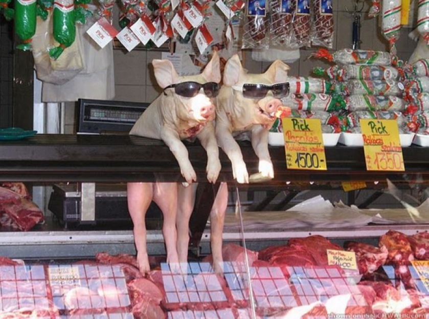                          Meanwhile in Hungary                      
