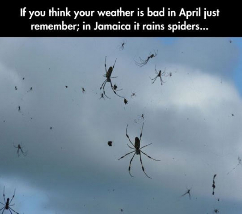 How Is The Weather?