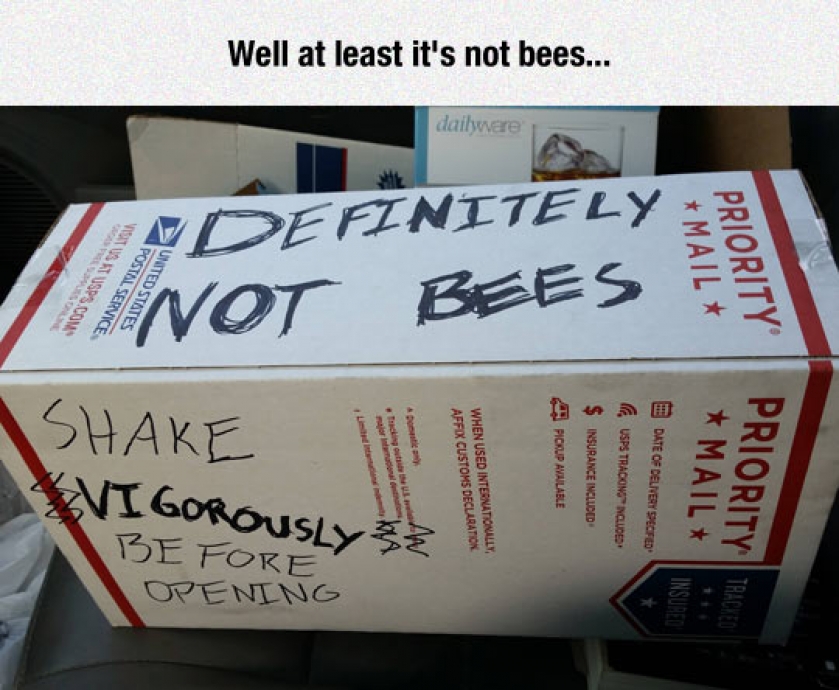 Please Shake Vigorously