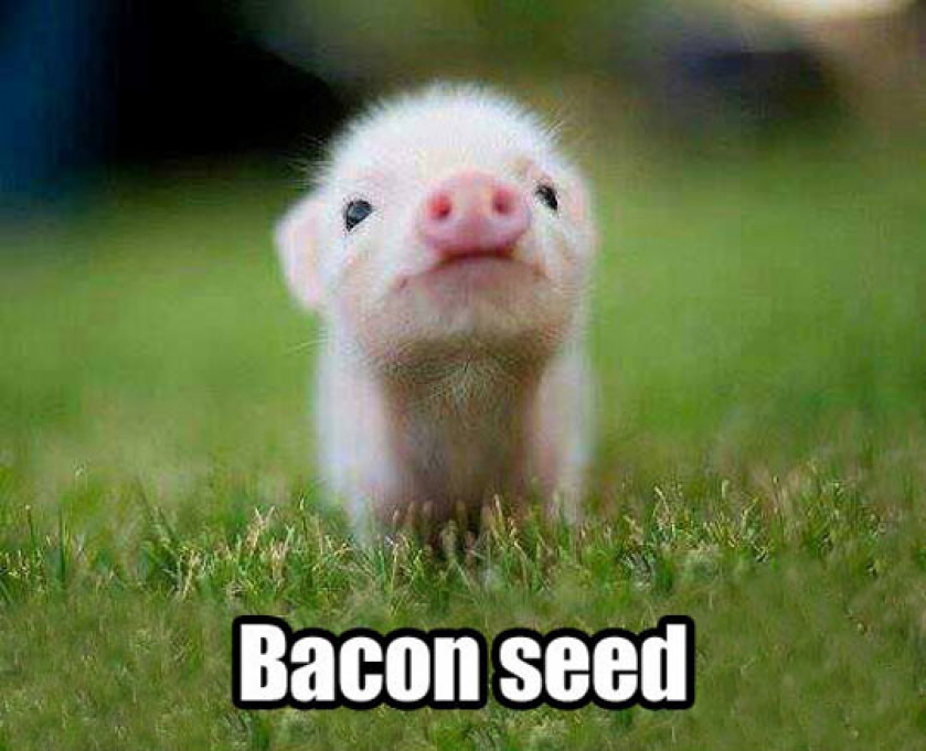 Deliciousness, The Beginning