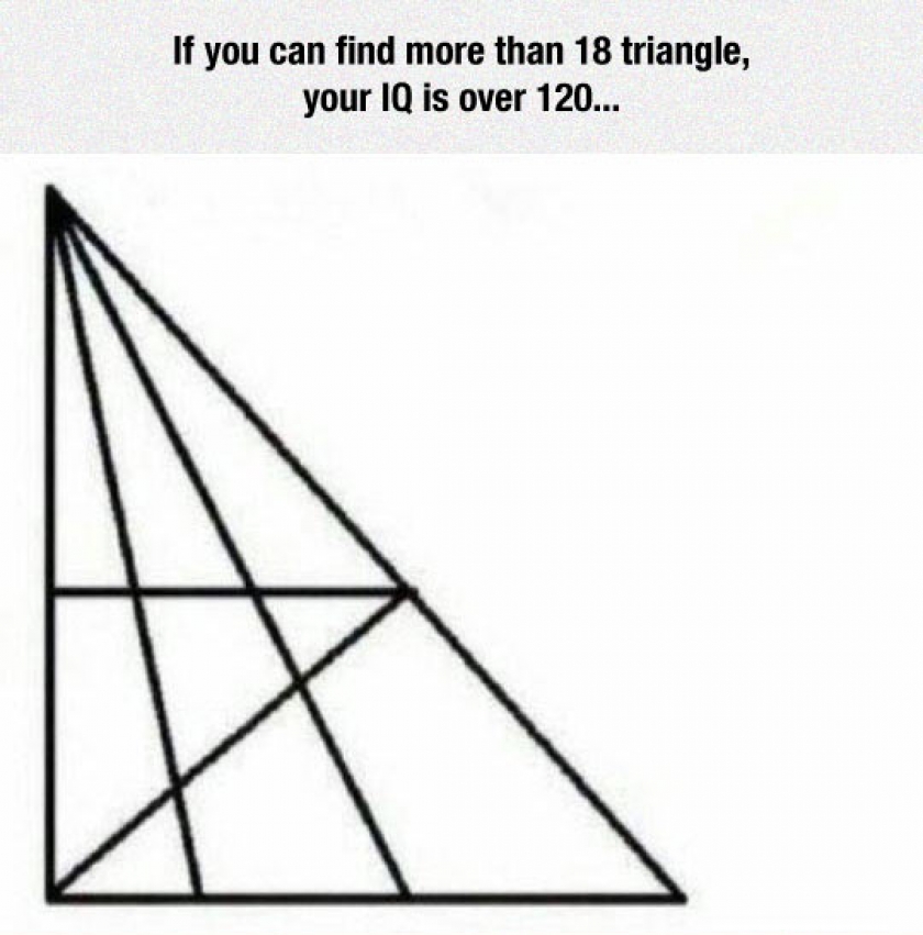 Try To Find Them All