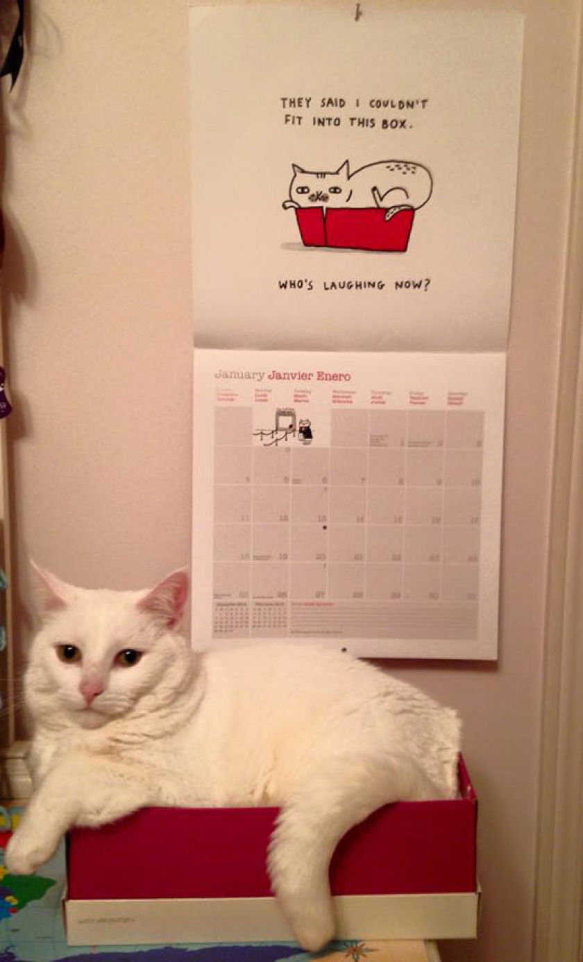 And Who’s Laughing Now, Human?