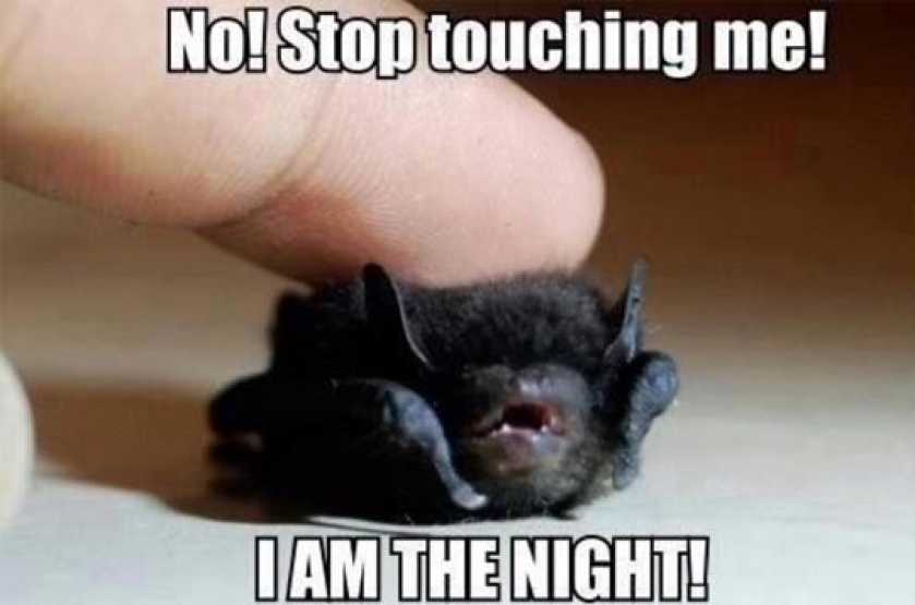 Stop That And Fear Me