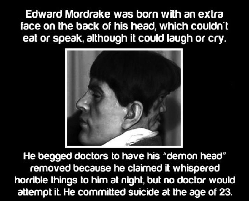 The Story Of The Demon Head