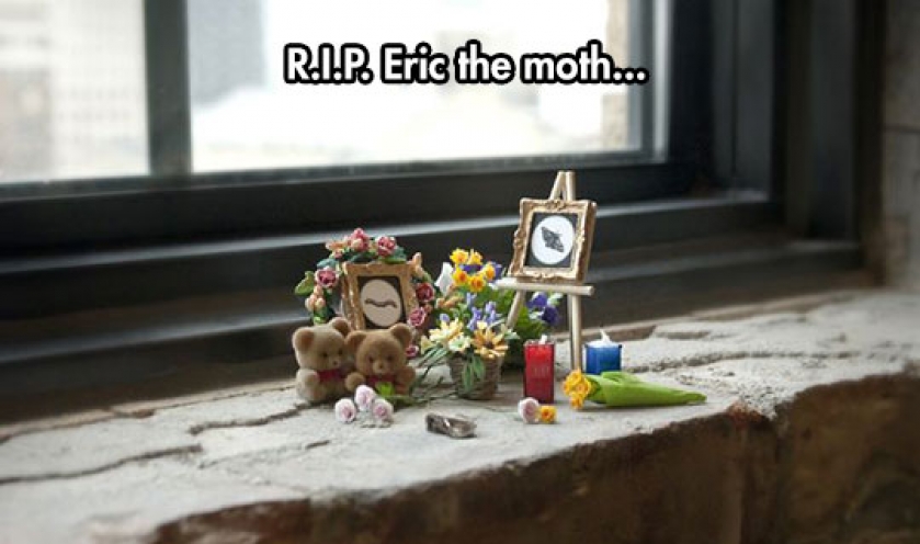 He Will Definitely Be Missed