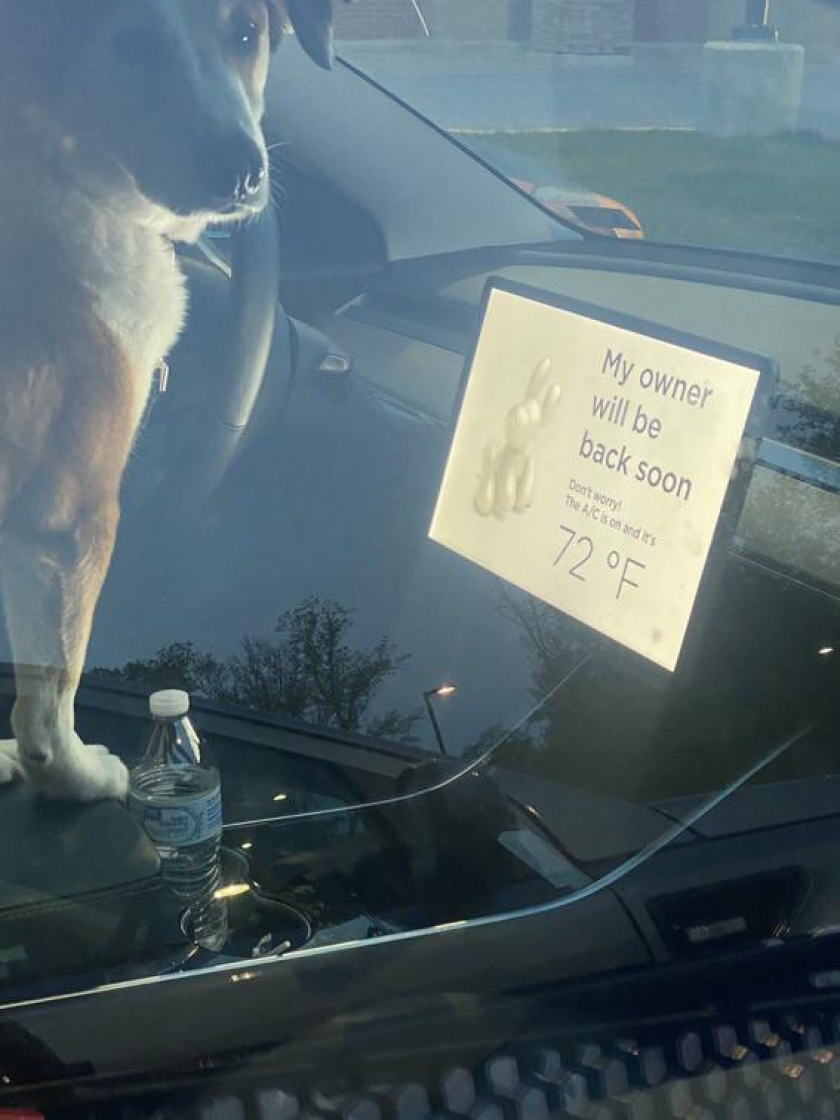 saw this in the grocery store parking lot yesterday 😂