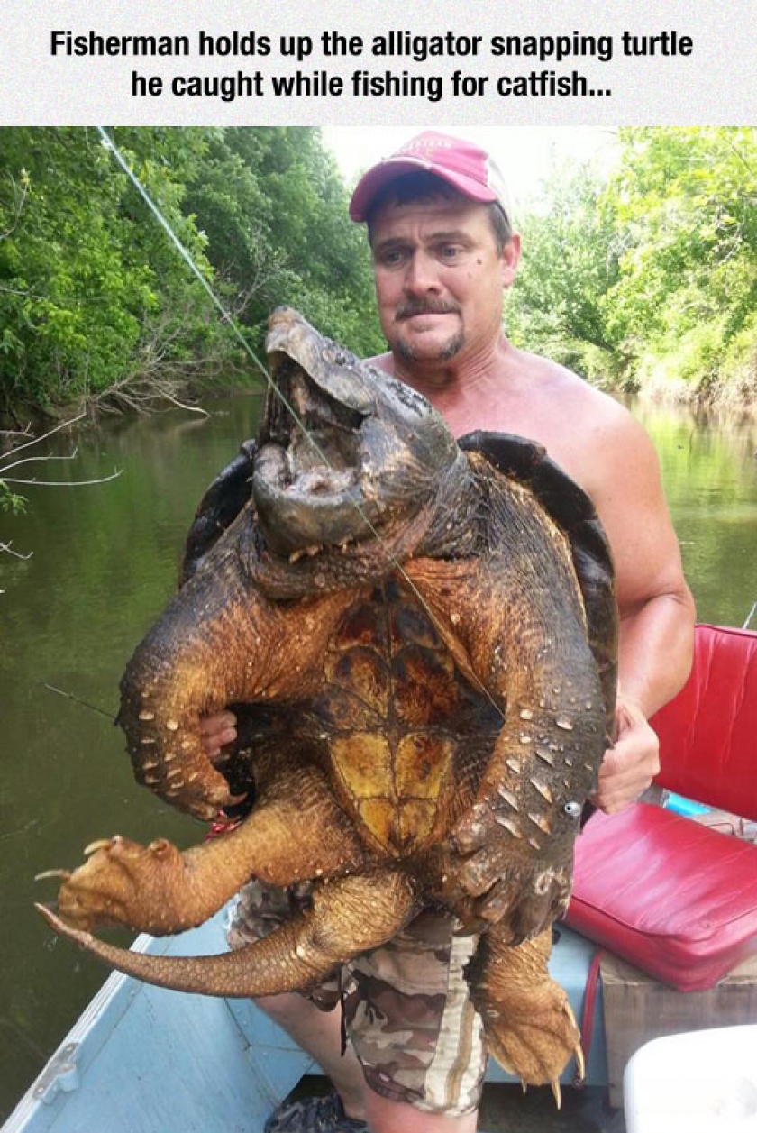 Real Life Bowser