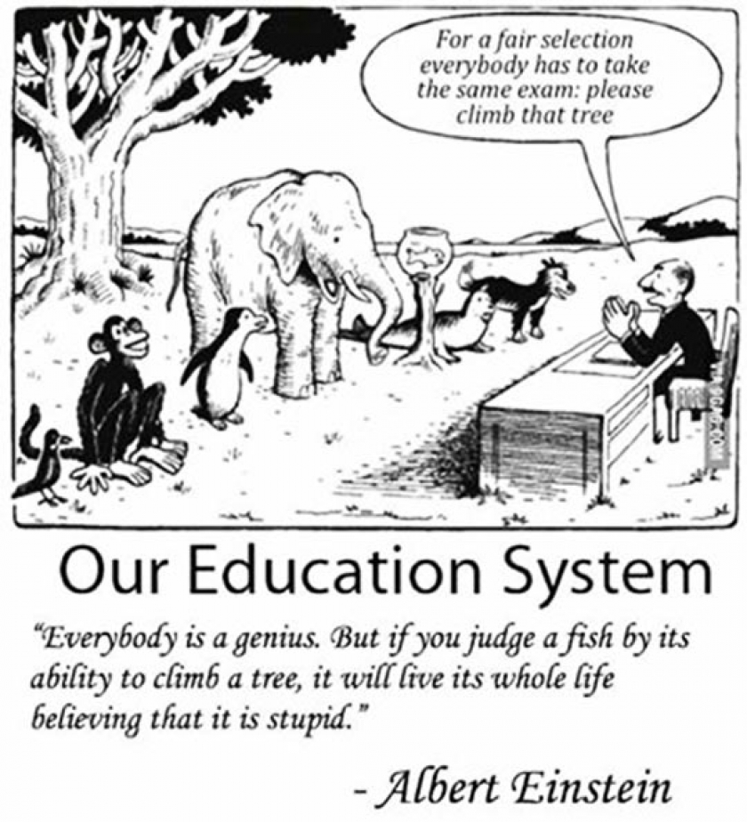 Our Education System In A Nutshell