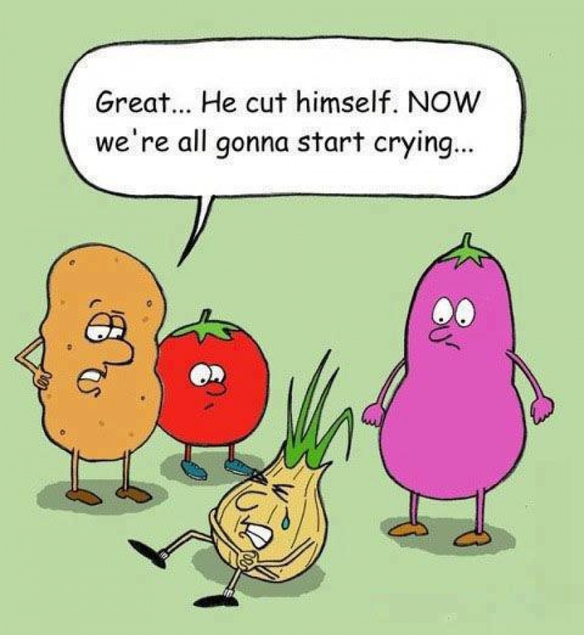                          Damn you, onion                      