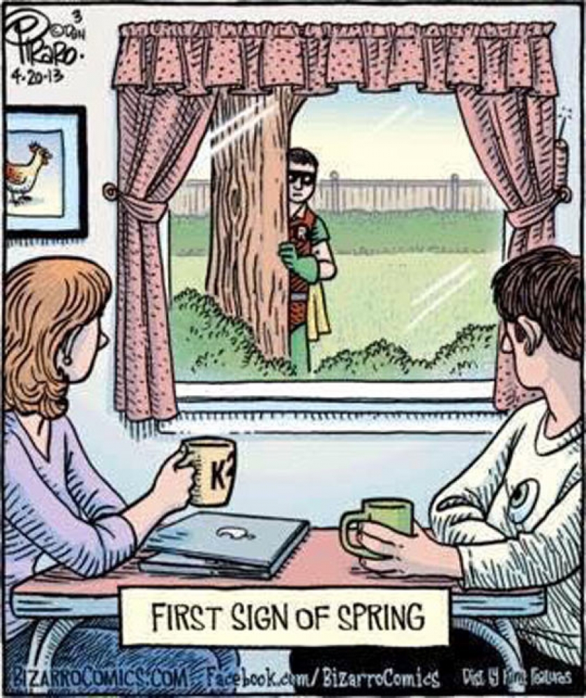 The Robins Have Arrived