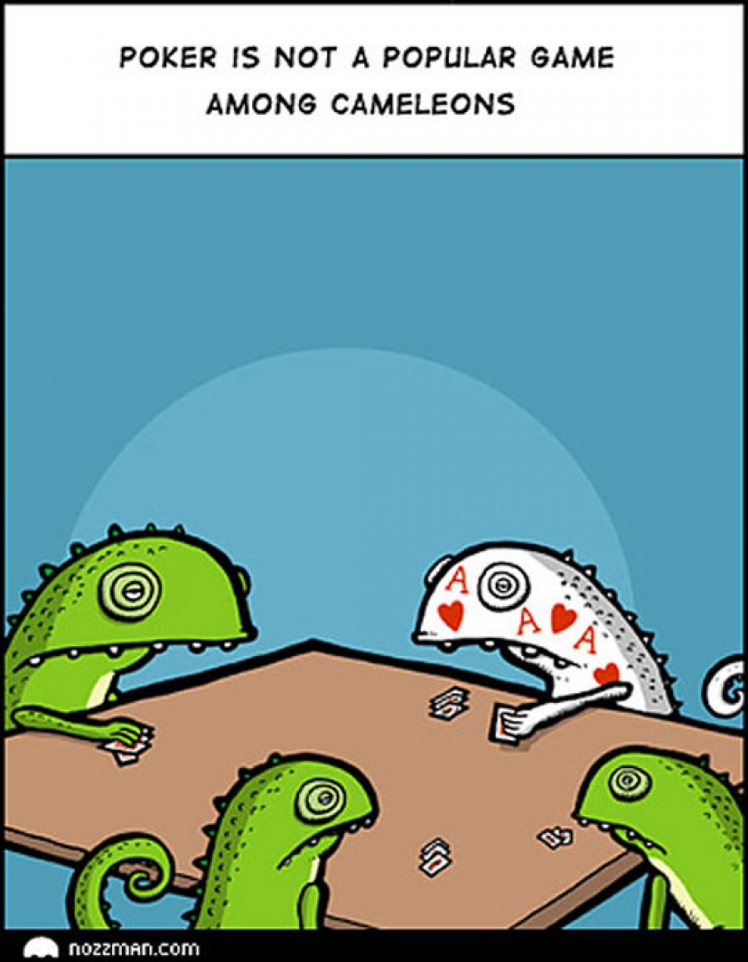 Why Chameleons Don’t Play It