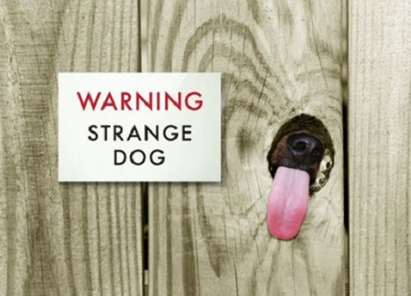 Consider It A Strong Warning