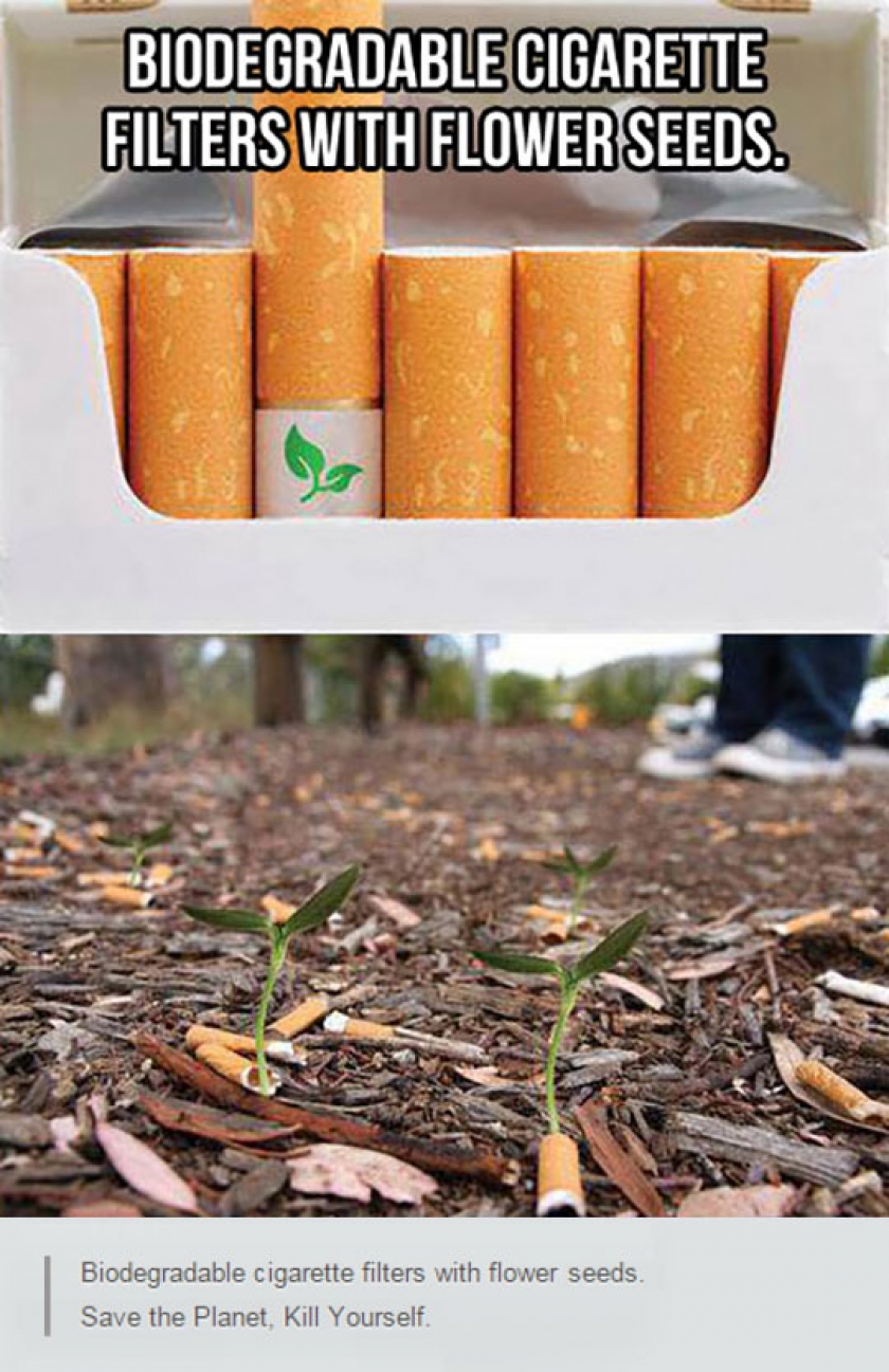 Definitely A Genius Idea