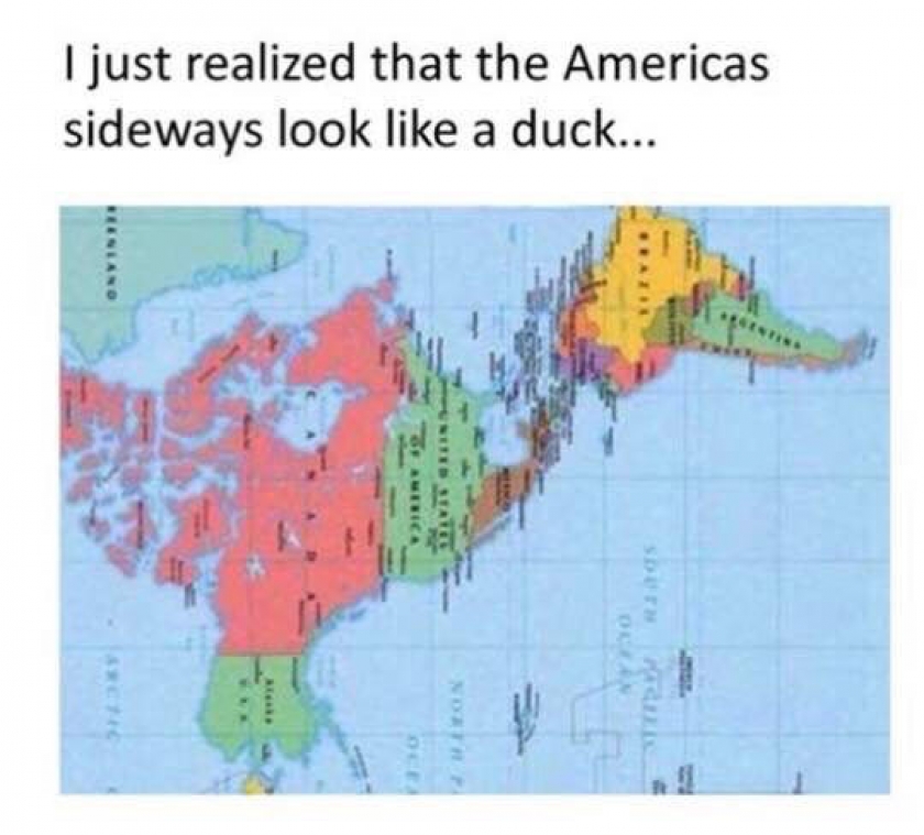 I Don’t Know What To Do With The Information