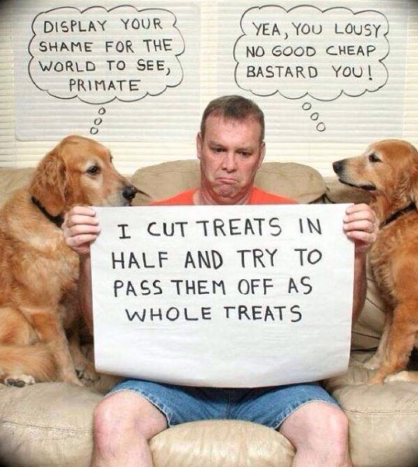 Much Needed Human Shaming