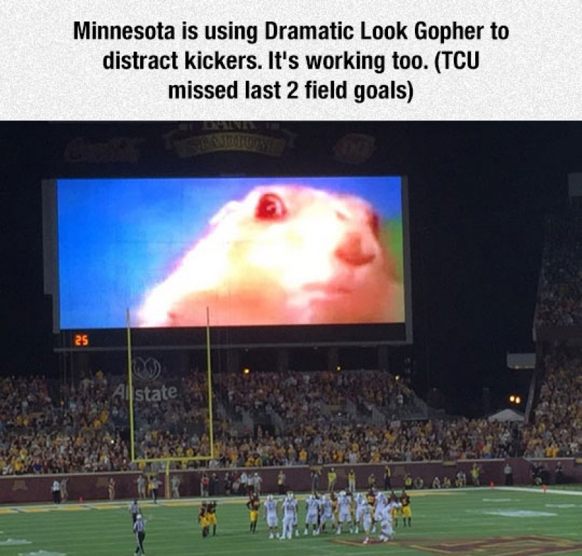 The Perfect Distraction