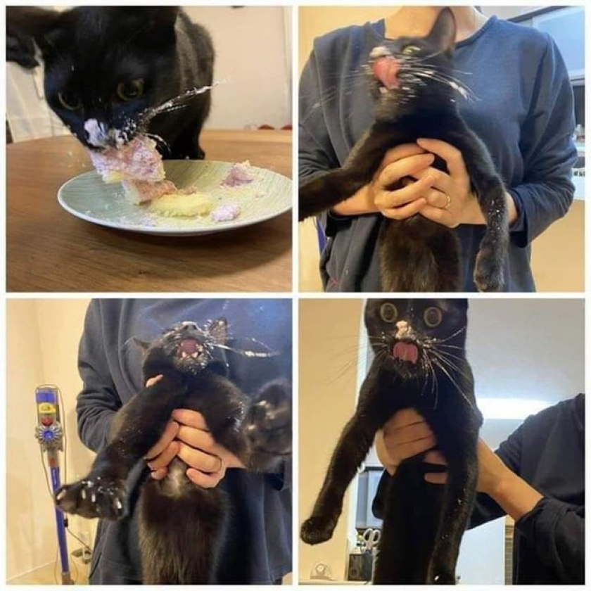 Janet, I regret nothing!
