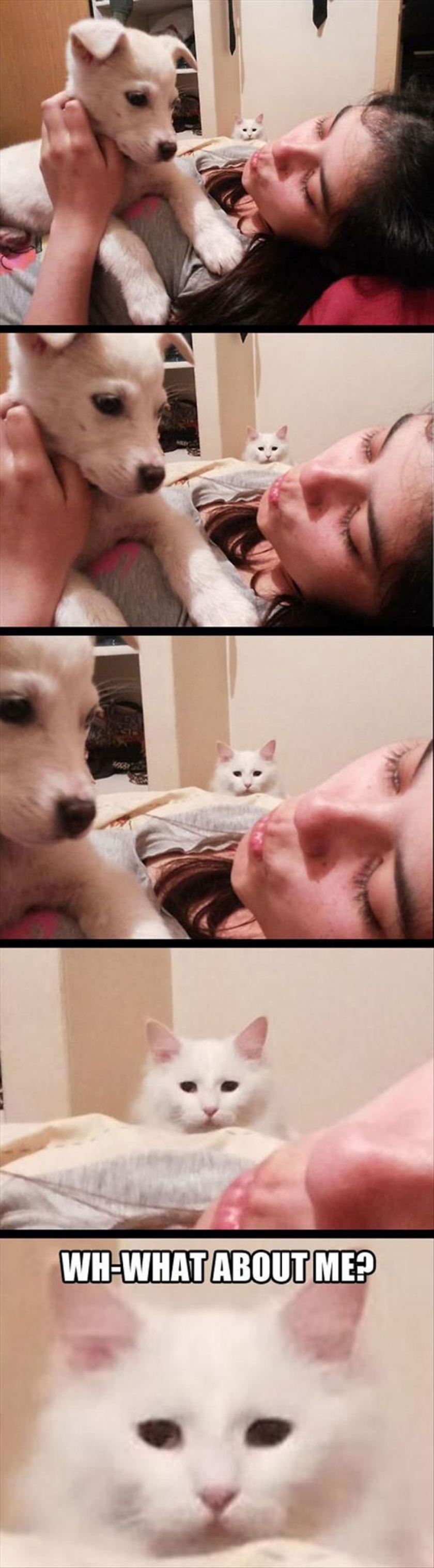 But What About Me?