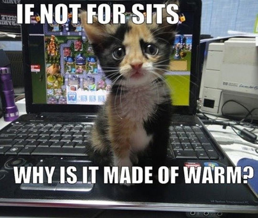 Explain Yourself Human