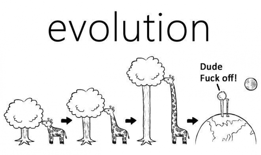                          Evolution from Savannah-Cow to Long-Horse                      