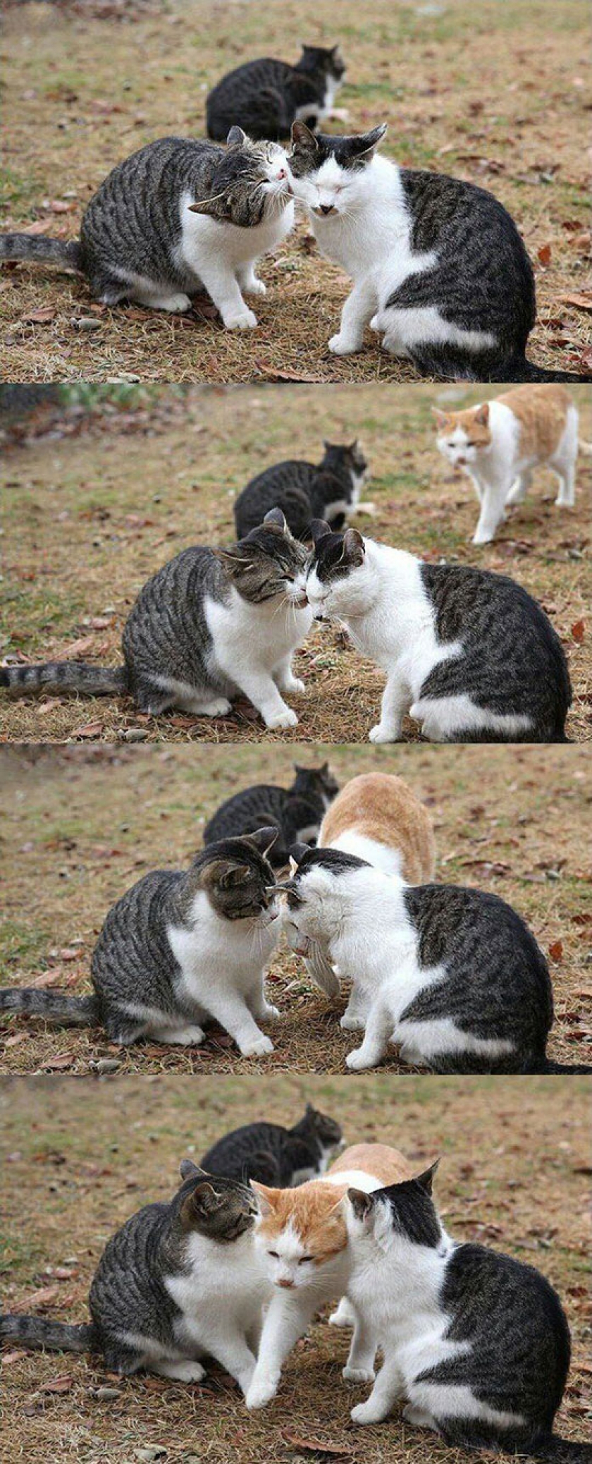 Stop It You Two
