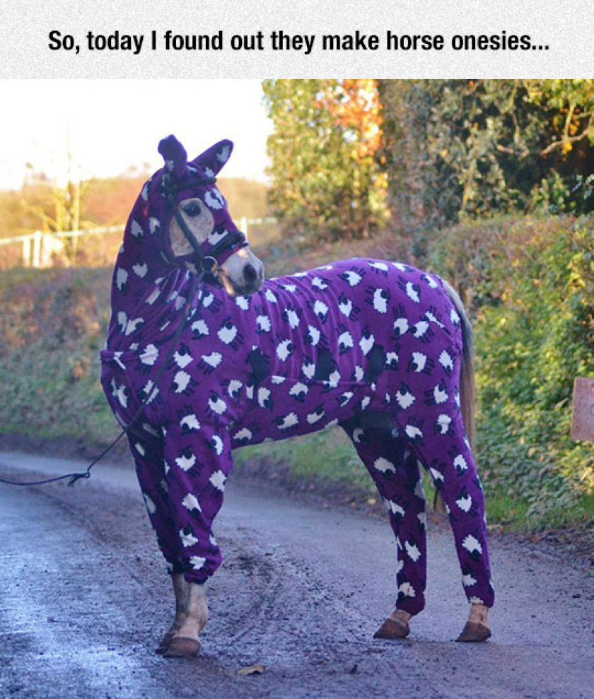 So This Is Actually A Thing