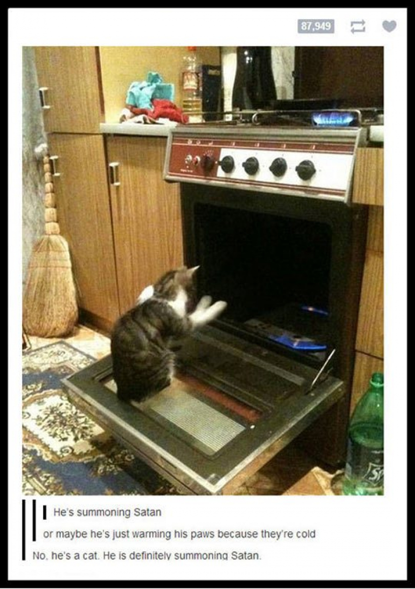 Satan’s Furry Worshiper