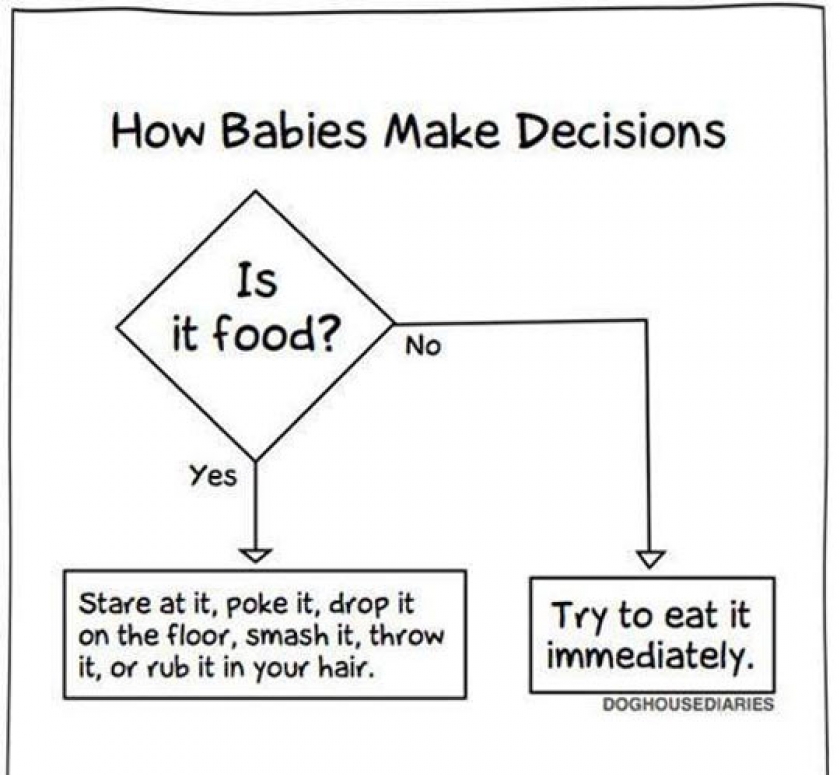The Way Babies Make Decisions