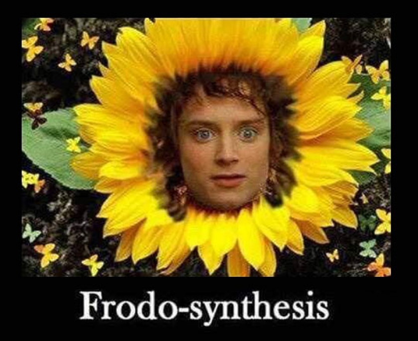 Perhaps One Of The Weirdest Things I’ve Found On The Internet