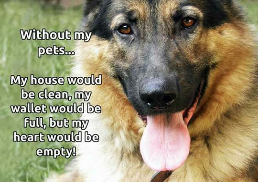 Without My Pets