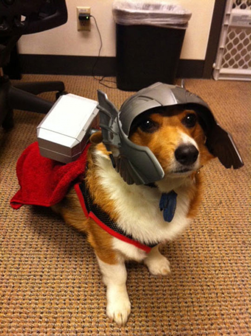 Oh Hi, My Name Is Thorgi