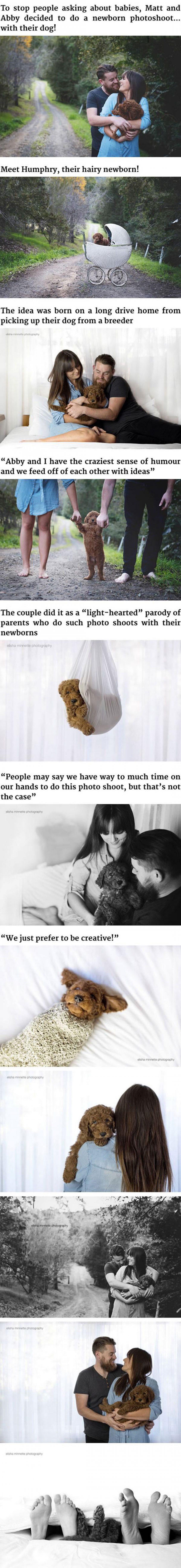 Tired Of People Asking About Babies, They Did A Newborn Photoshoot With… Their Dog!