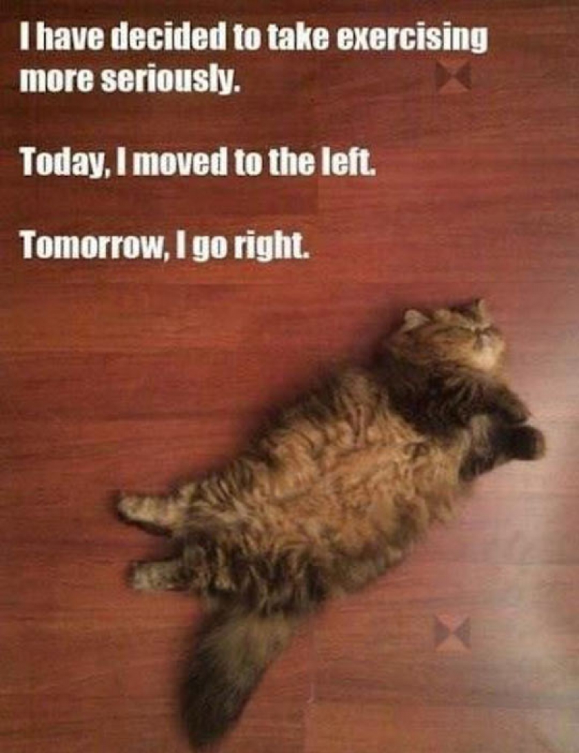 Taking Exercise Seriously