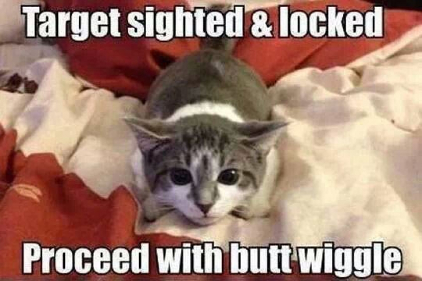 Girls At The Club Being Like