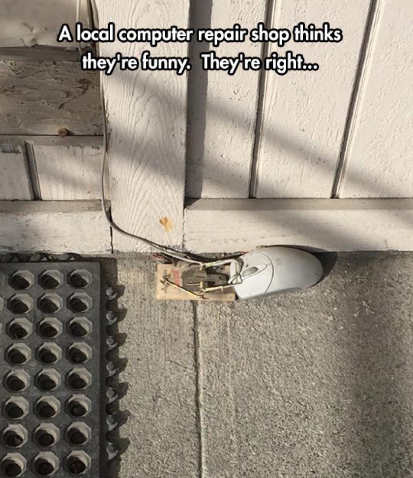 That Mouse Had Balls