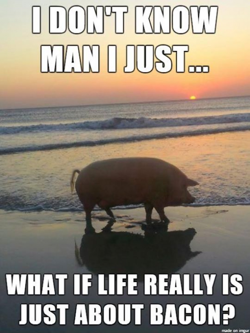                          What if                      
