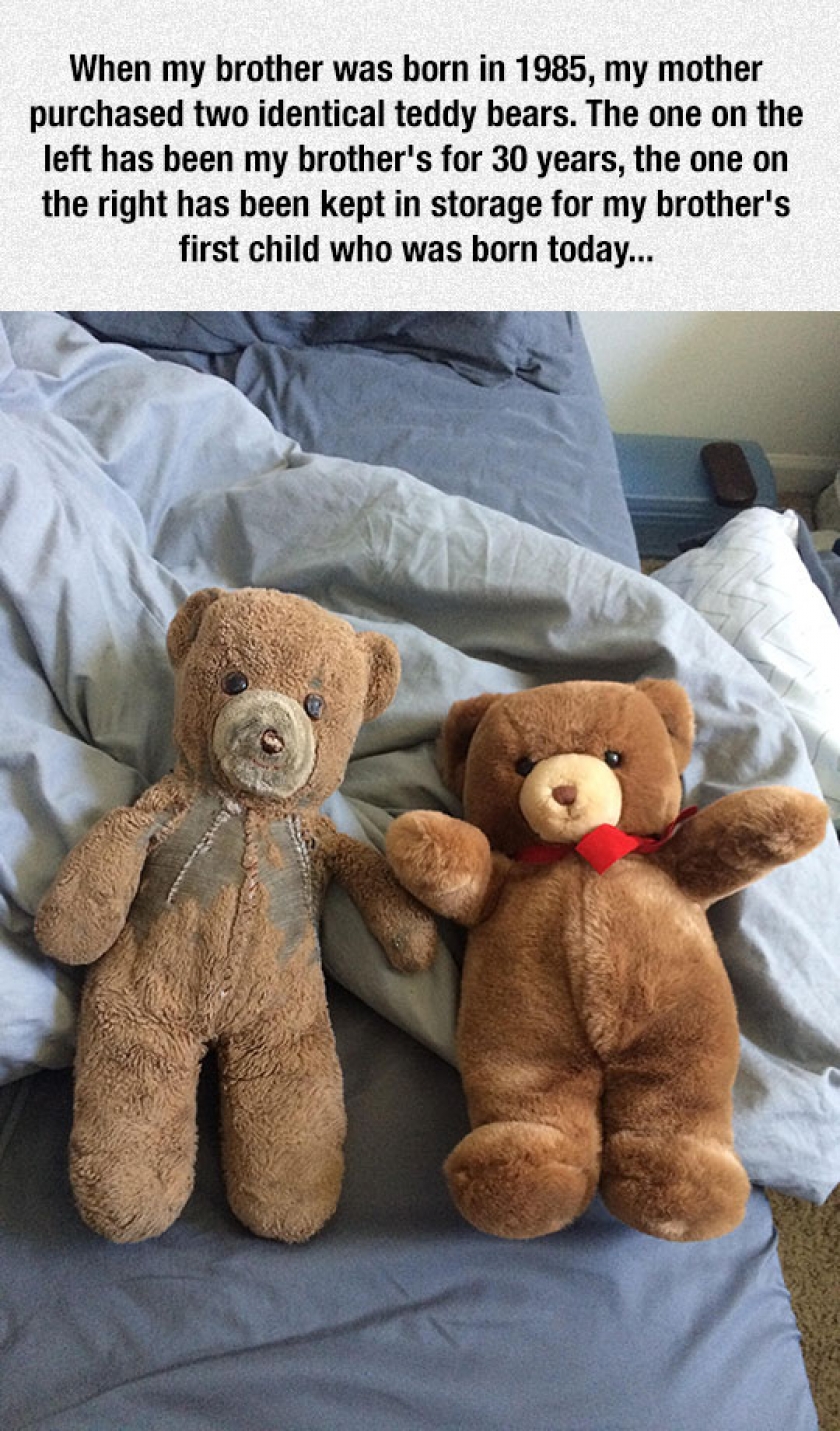 Two Teddy Bears, Many Years Later