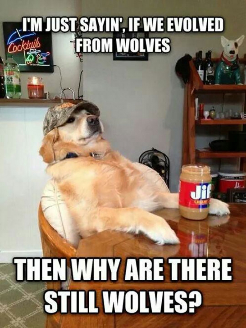 Redneck Retriever Ain’t Having None Of Your Evolution Crap