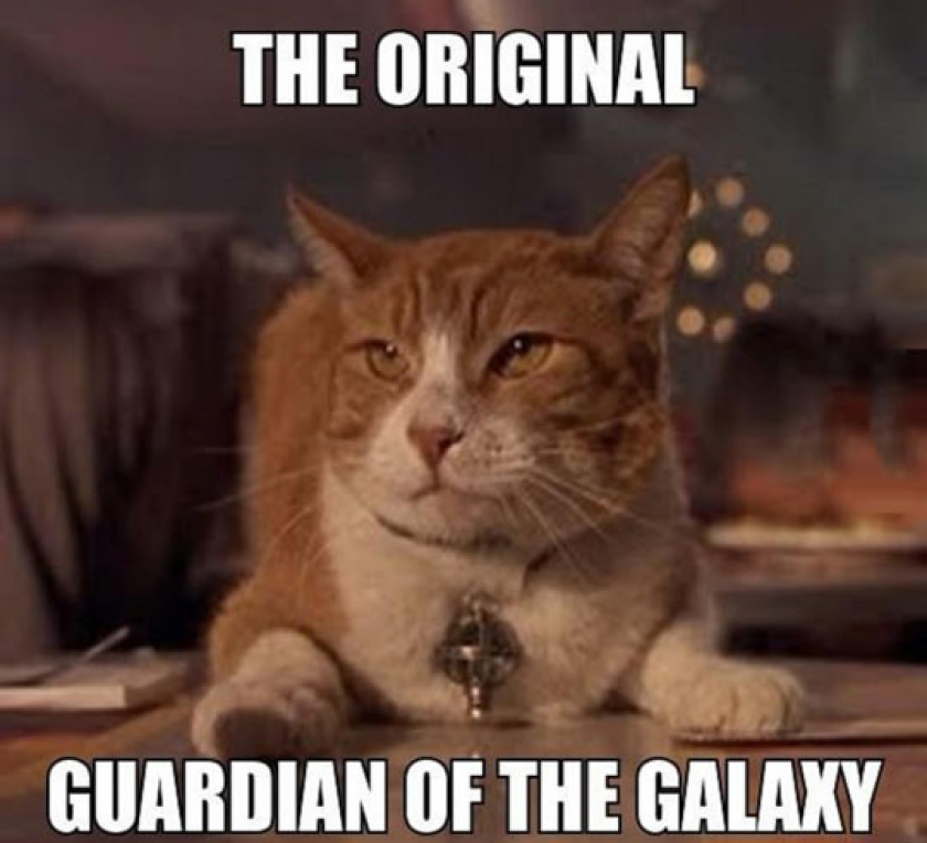 In Your Face, Starlord