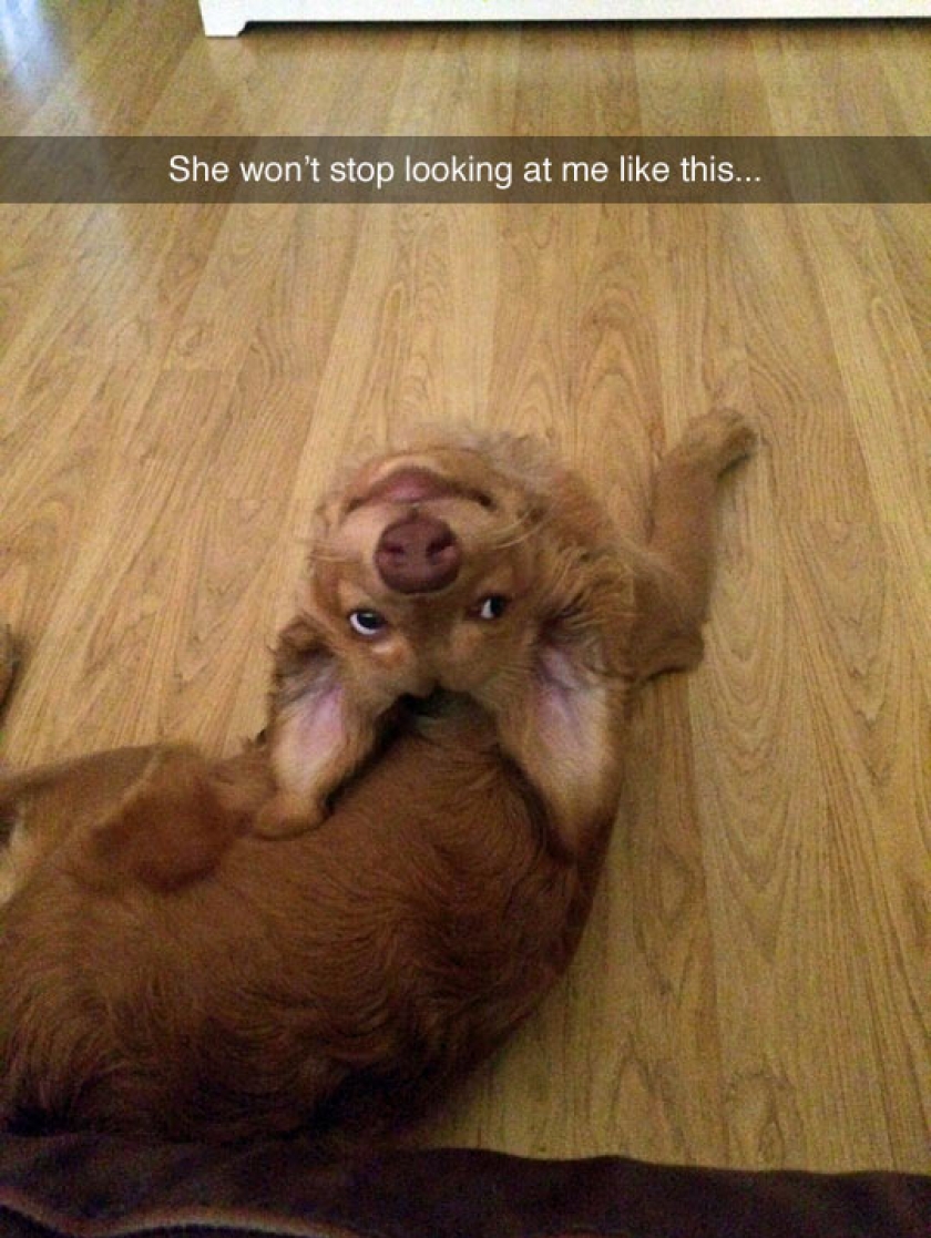 Everything OK Master?