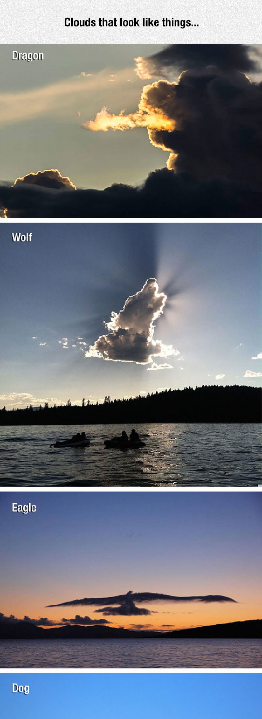 Clouds That Actually Look Like Things
