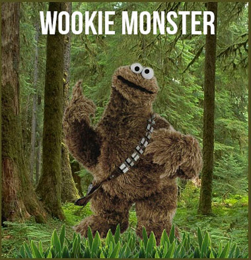 Sesame Wars, A New Hope