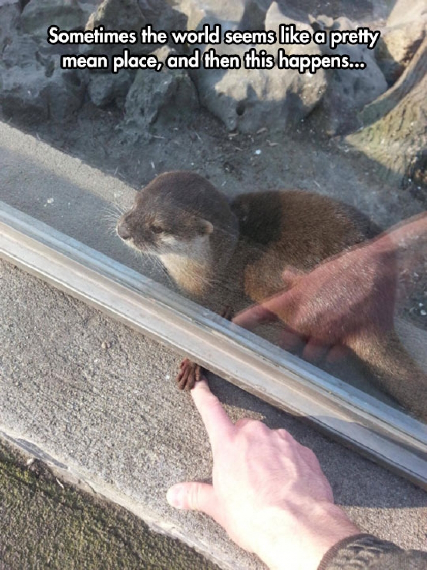 Finding A Helping Hand